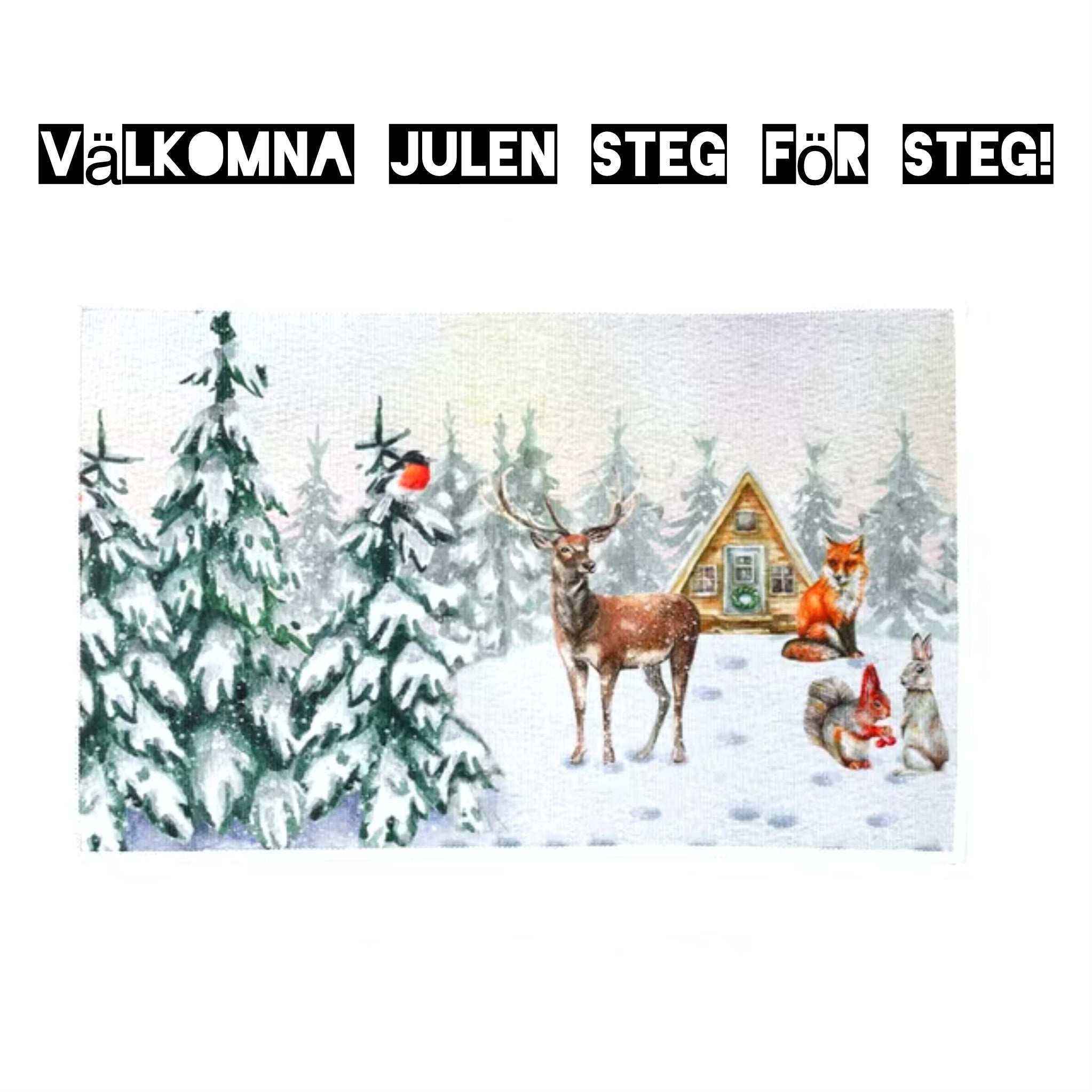 Julsteg – En dörrmatta som välkomnar julen!